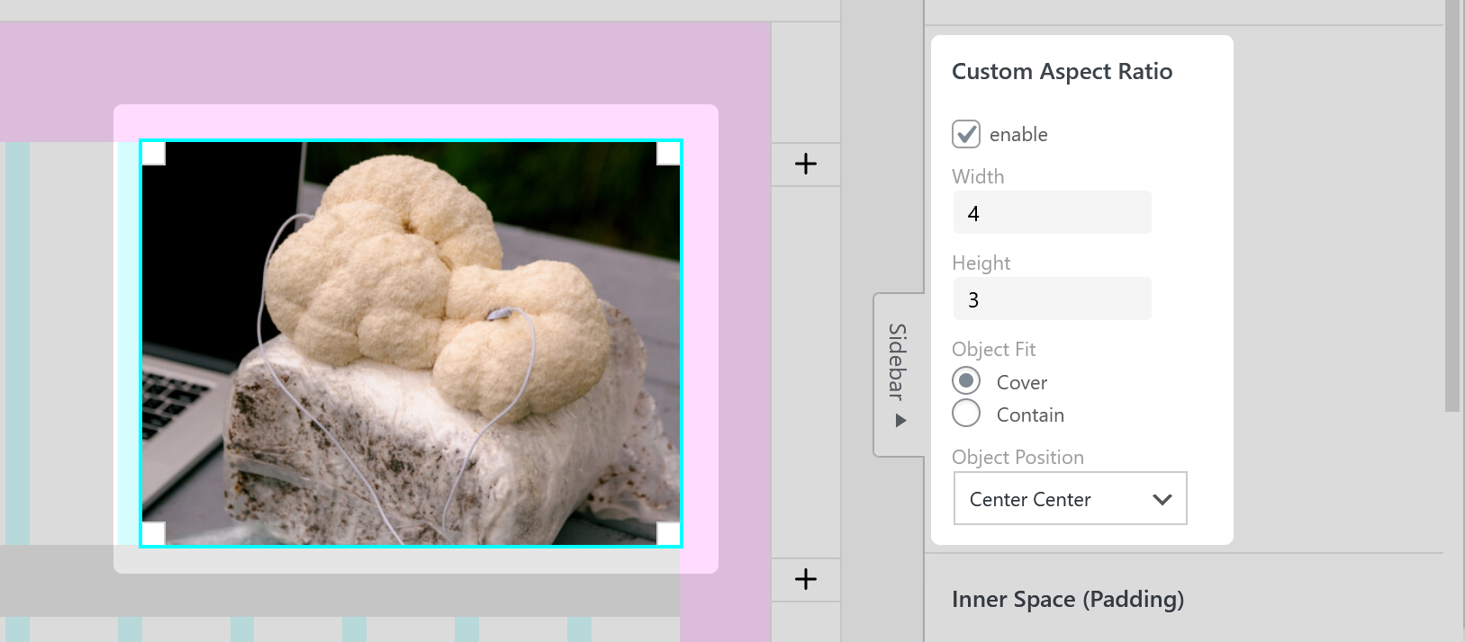 Image Custom Aspect Ratio