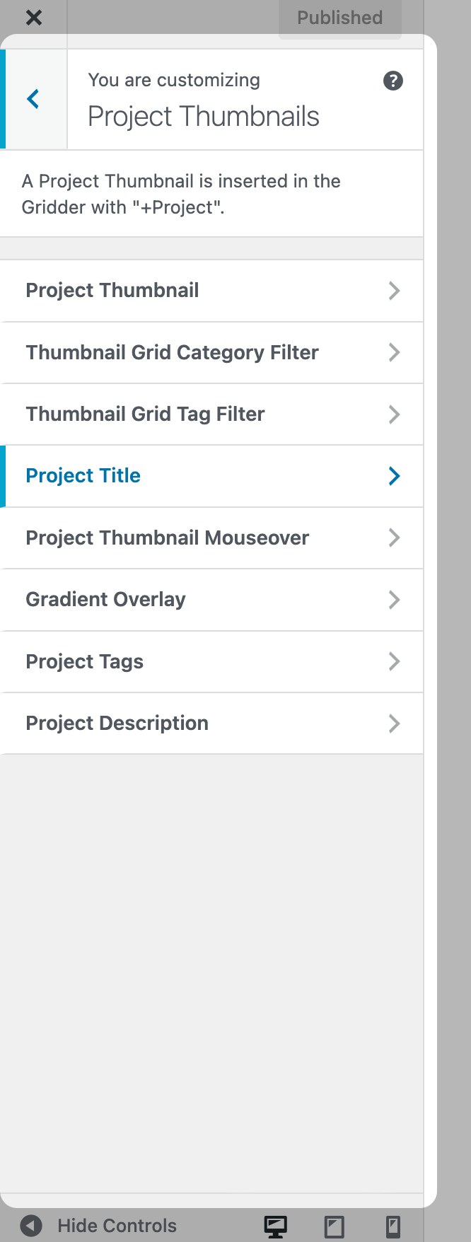 Customizer Project Thumbnails panel