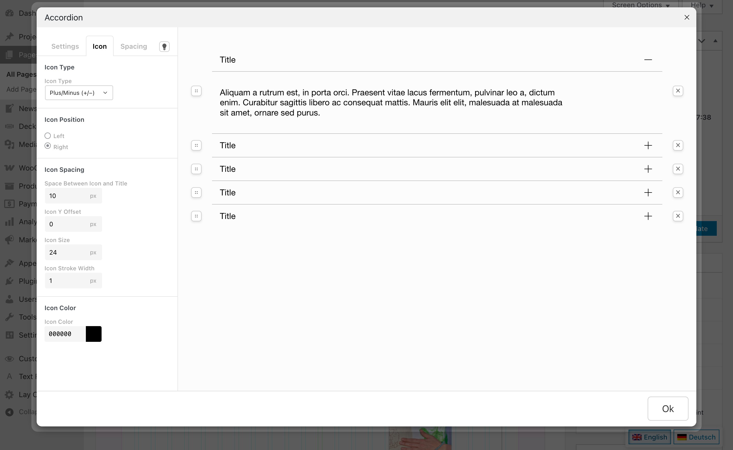 The Icon tab in the Accordion window