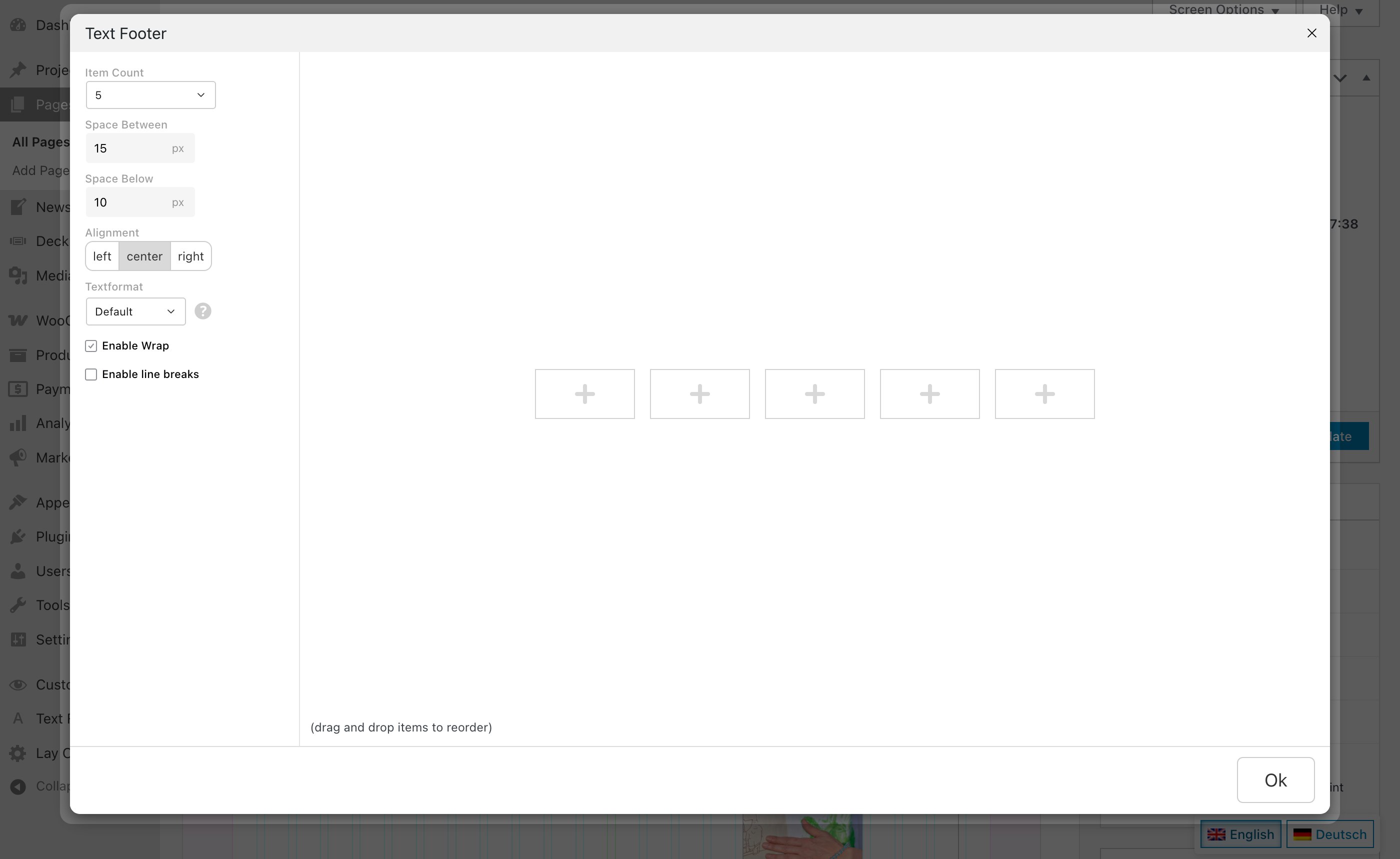 The Text Footer window