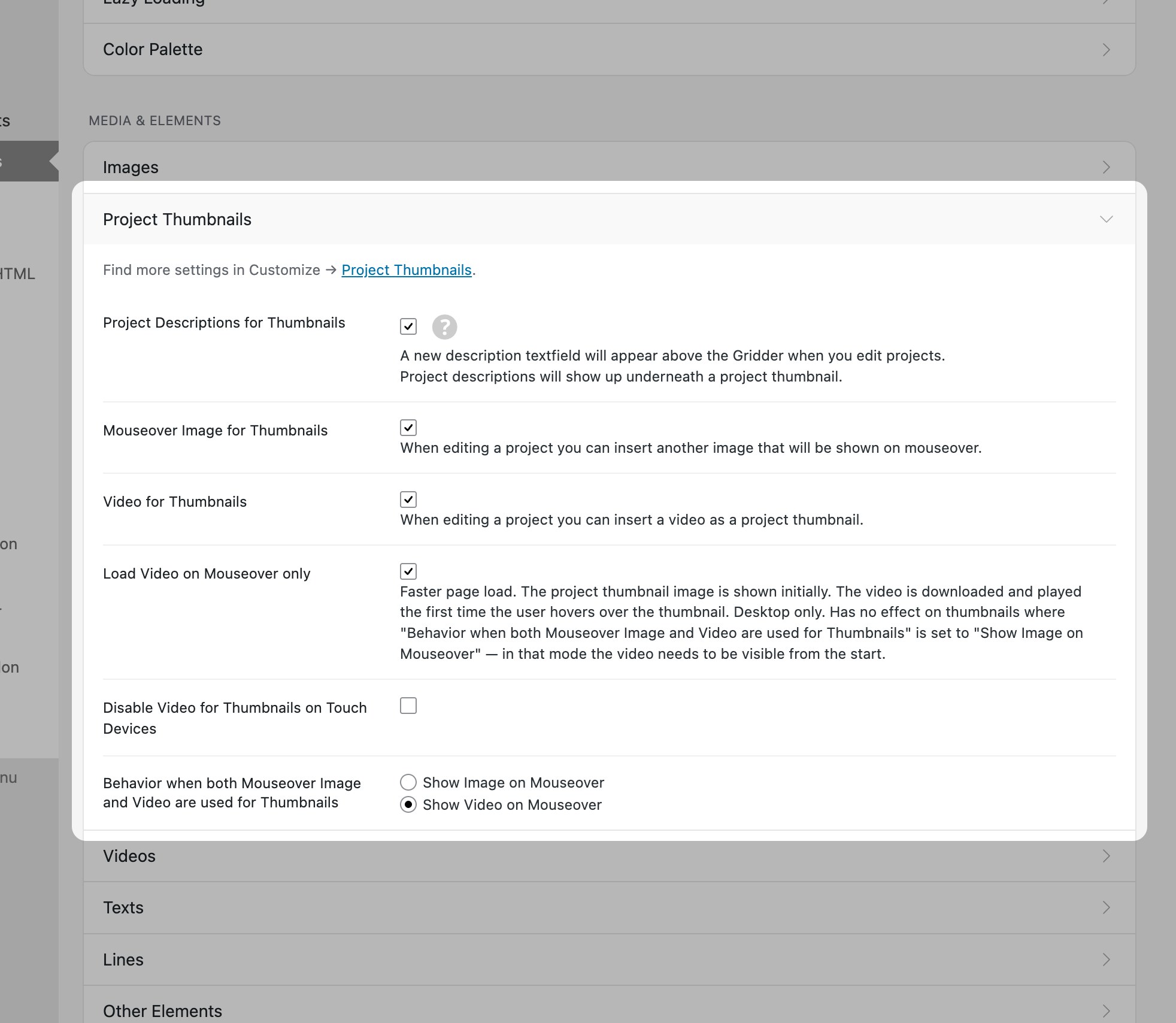 Lay Options Project Thumbnails settings