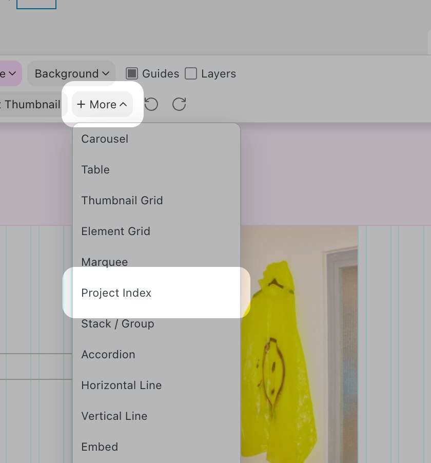 The +More menu with Project Index selected