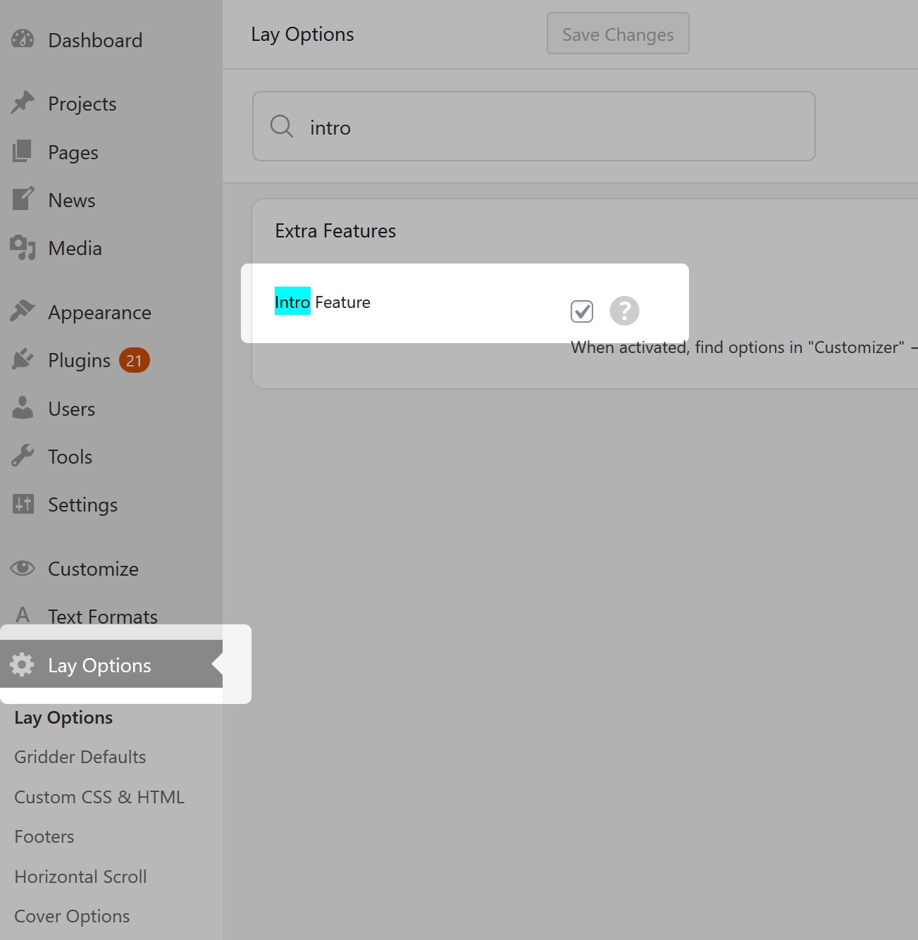 Intro Image or Video