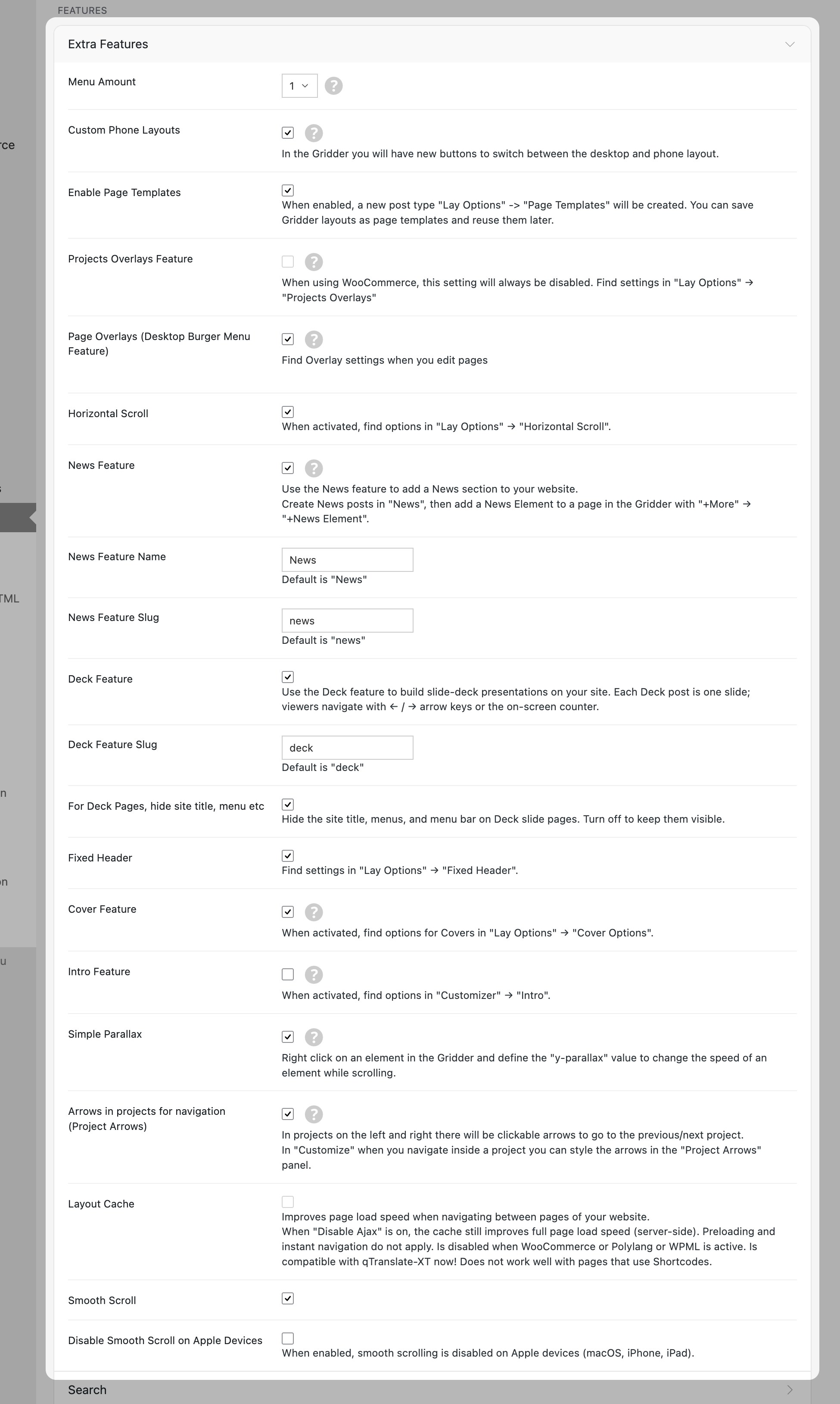 Lay Options Extra Features section