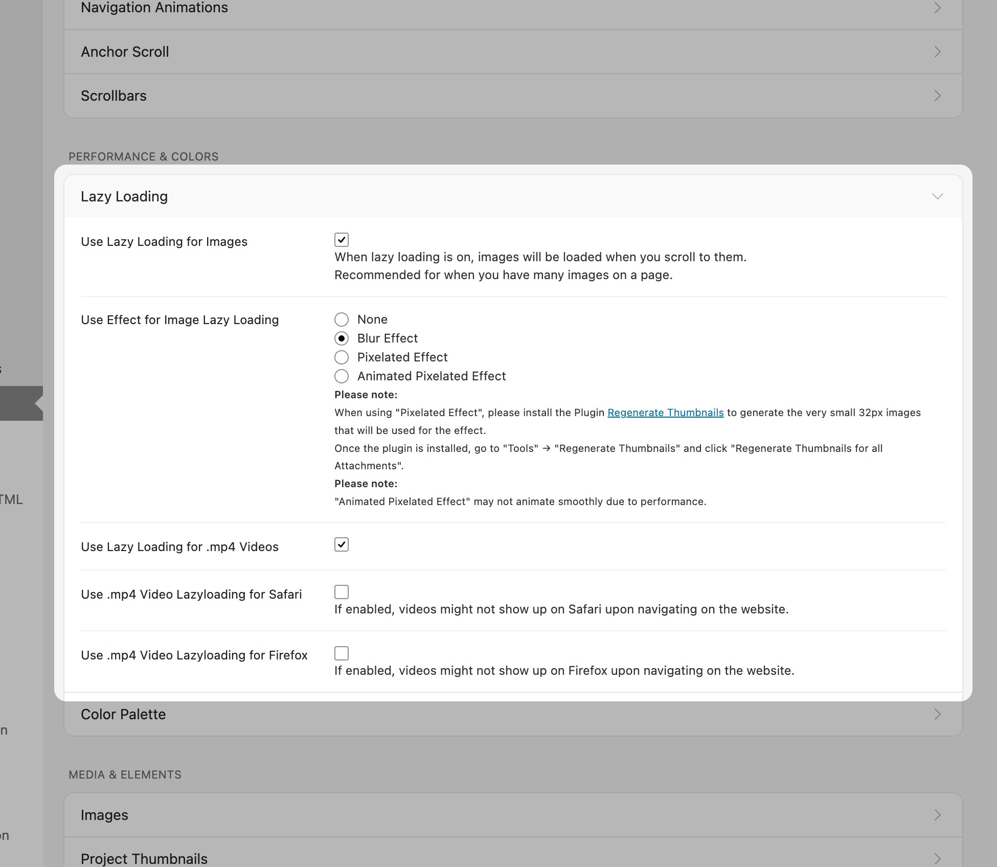 Lay Options Lazy Loading section