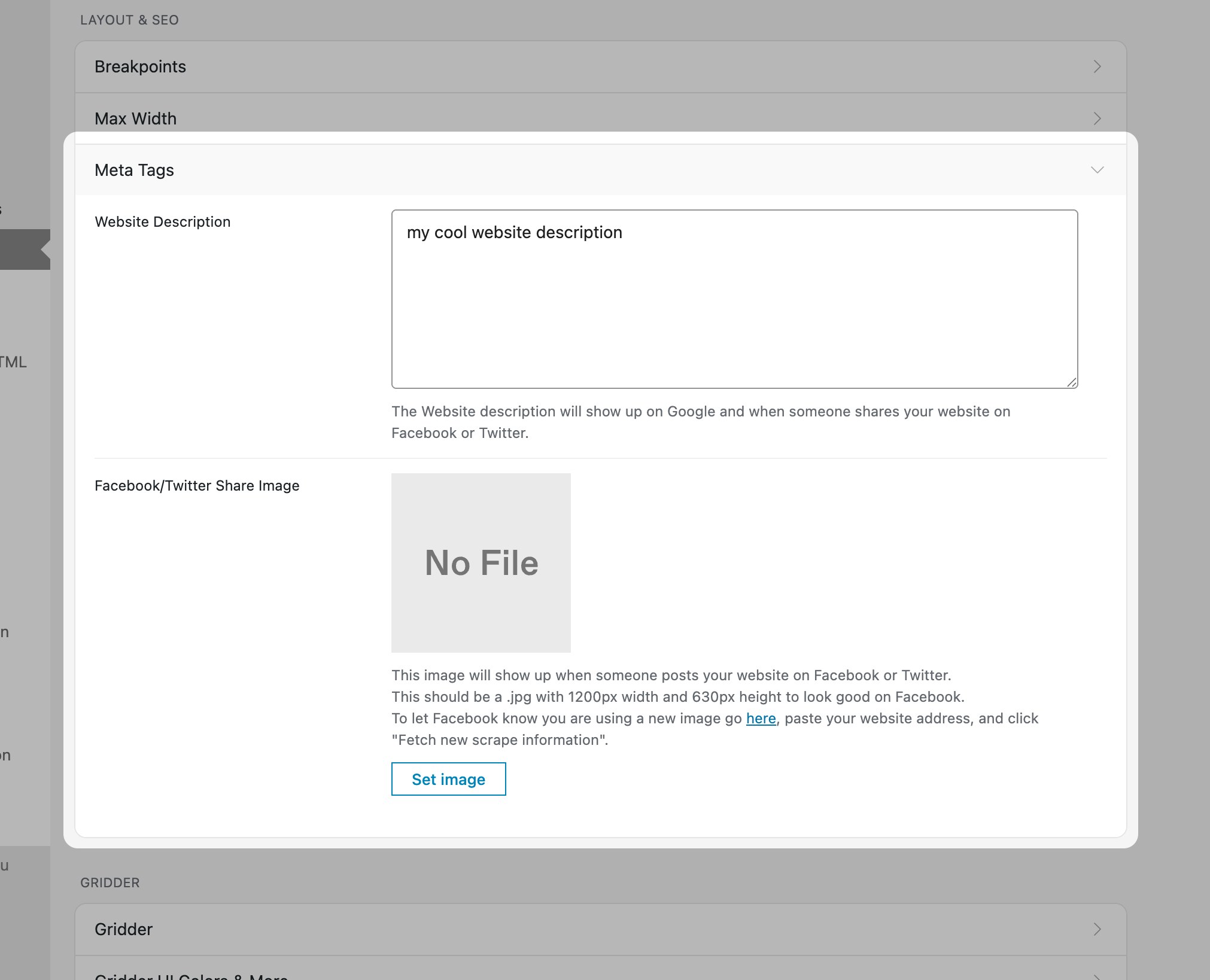 Lay Options Meta Tags section