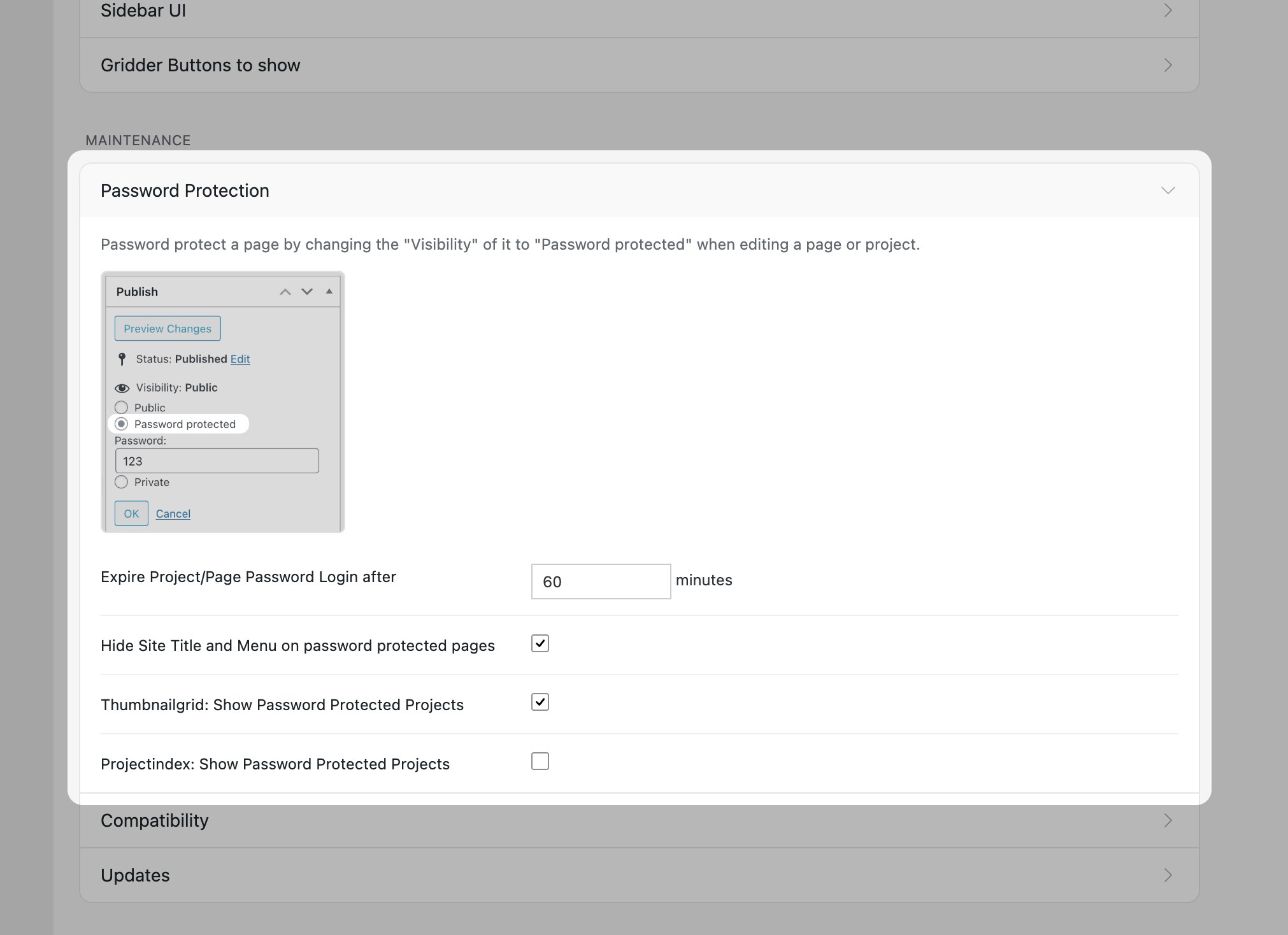 Lay Options Password Protection section