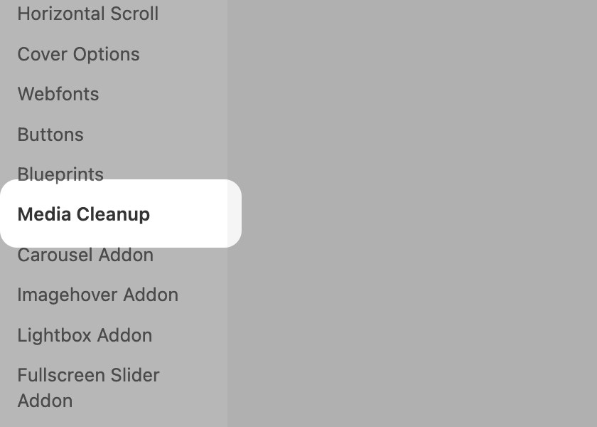 Media Cleanup in the Lay Options admin menu