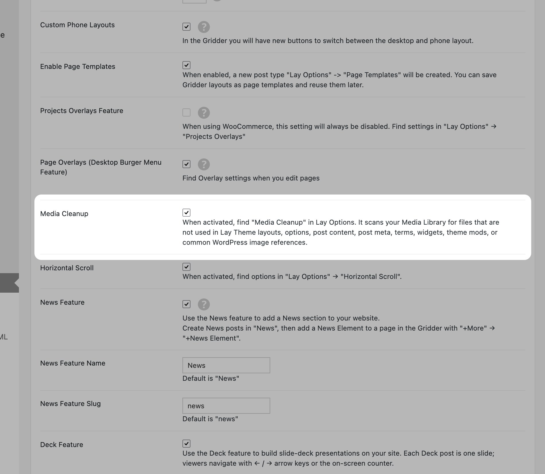Media Cleanup checkbox in Lay Options Extra Features