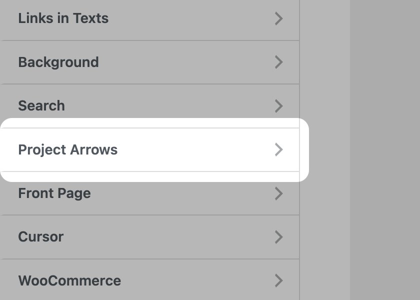 Project Arrows panel in the Customizer