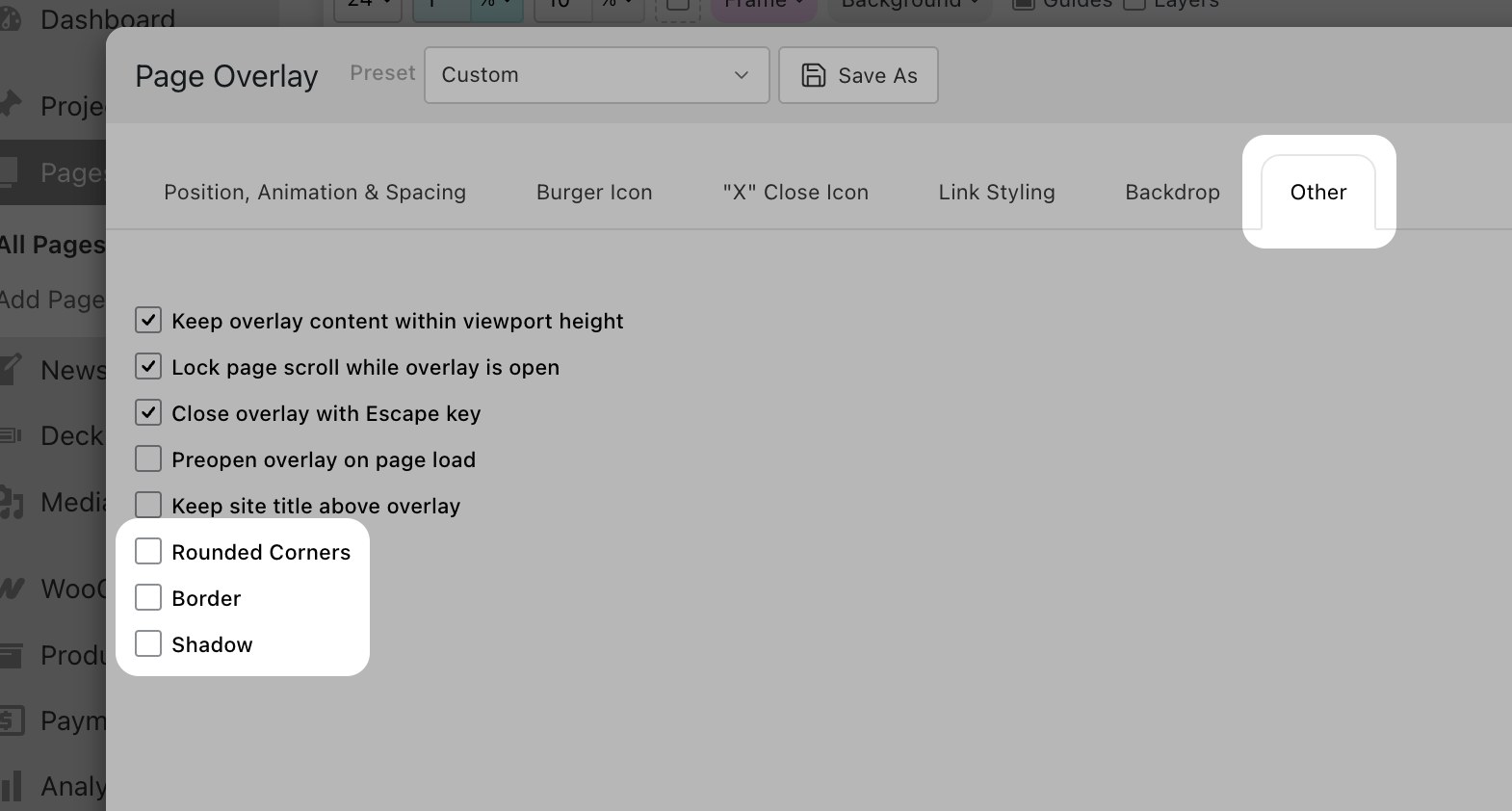 Rounded Corners, Border and Shadow toggles in the Other tab