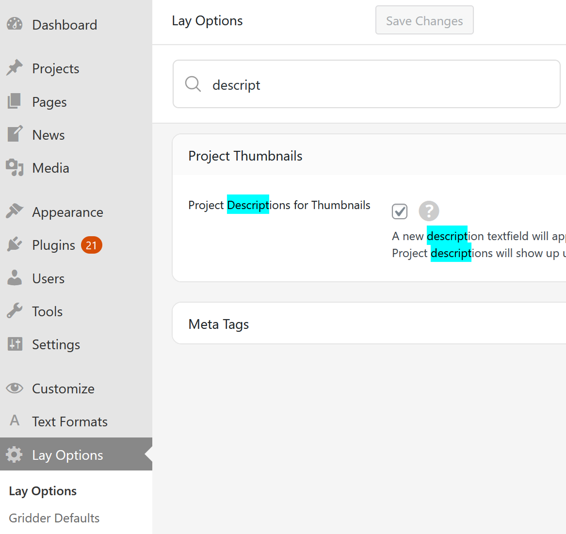 Project Descriptions for Project Thumbnails