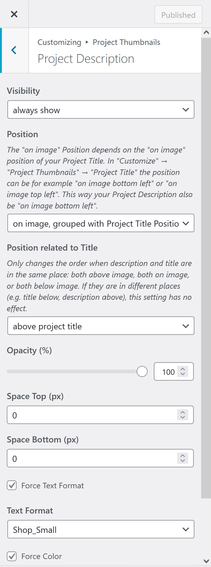 Project Descriptions for Project Thumbnails