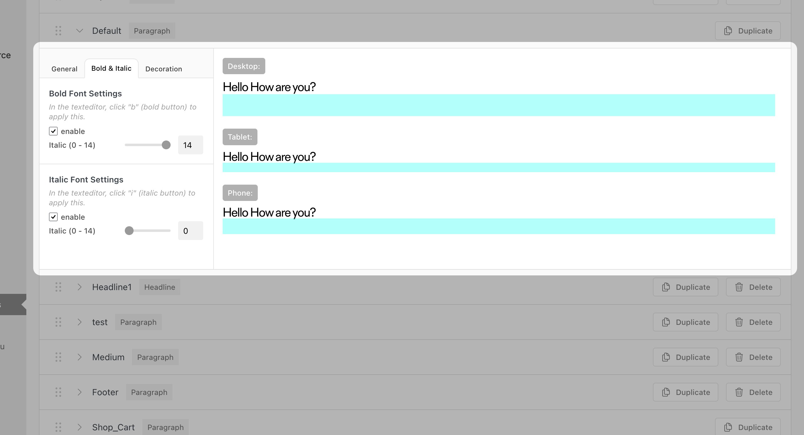 The Bold and Italic tab of a Text Format