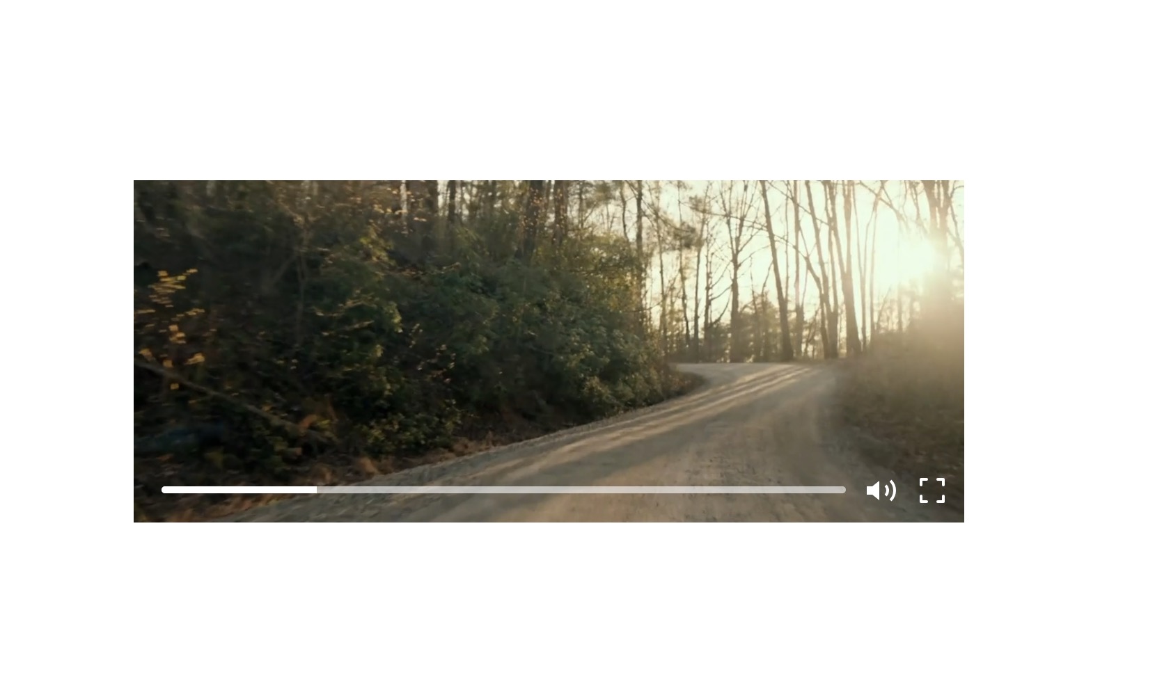Lay Custom Controls video player with progress bar, mute button and fullscreen button