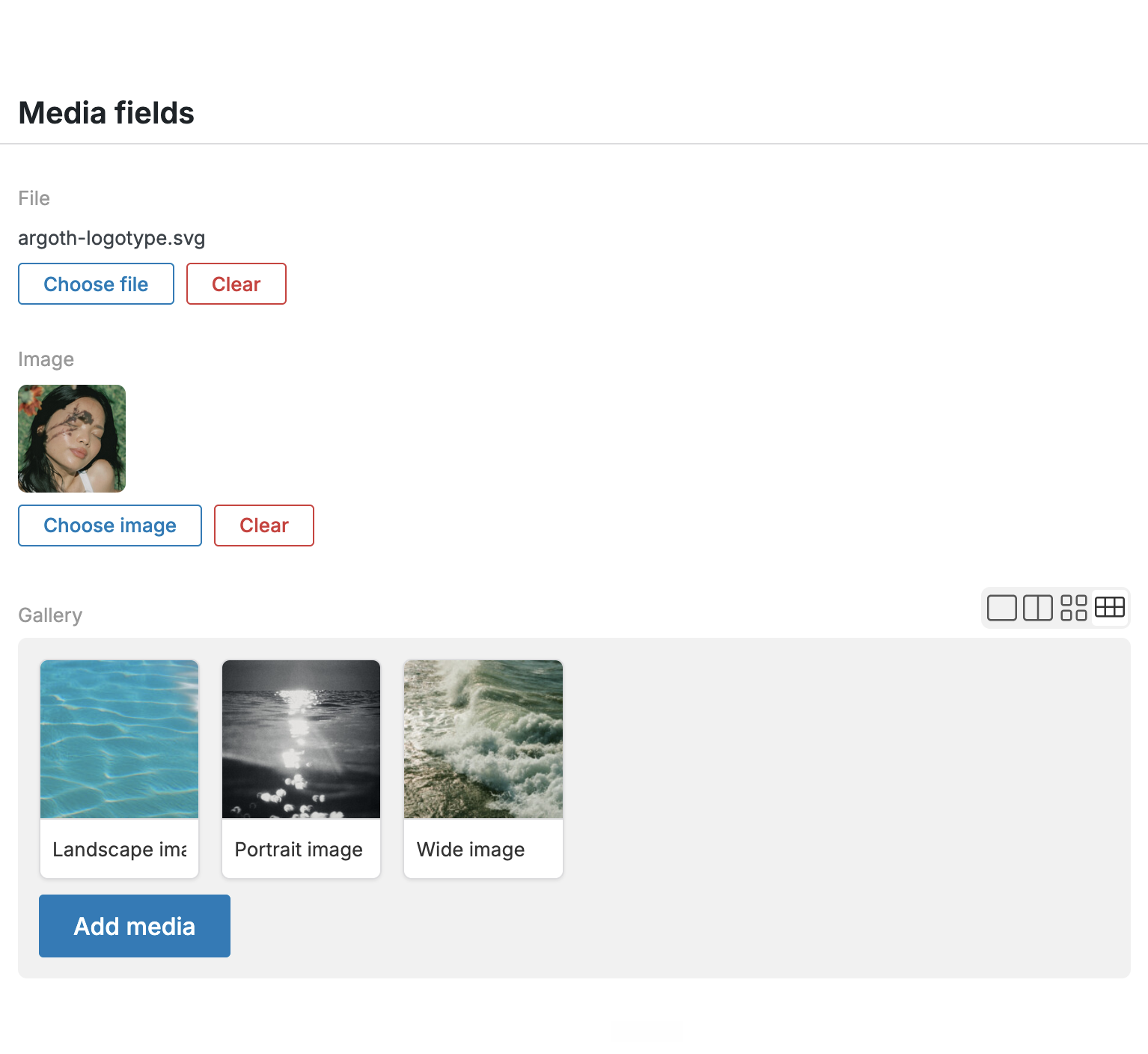 File, image and gallery content fields in Lay Theme